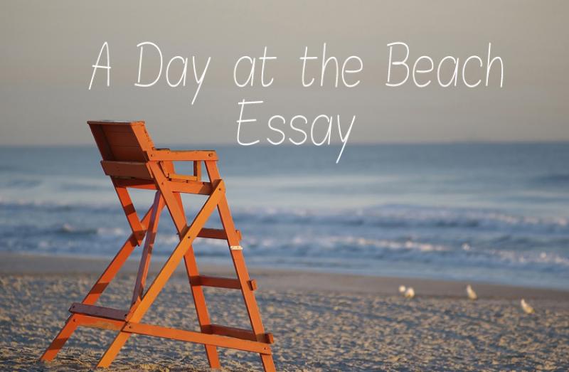 a-day-at-the-beach-essay-sample